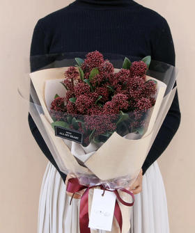 【荷兰进口】茵芋  绿色/红色  约2-3枝/扎