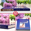 2本套装 北京大学妇科常见病诊治手册+新生儿保健学 妇幼健康职业技能竞赛危重新生儿救治儿科妇科学参考书 生殖系统损伤性疾病 商品缩略图4