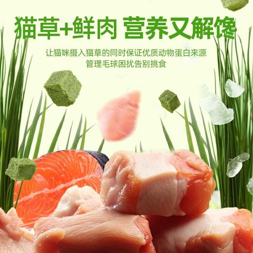 溜达猫冻干猫草粒30g/60g罐装 磨牙洁齿 助排毛球 调节肠胃 专治不爱吃猫草的猫咪 商品图6