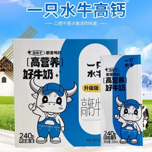 皇氏一只水牛高钙牛奶 200ml*10盒/箱 商品图0