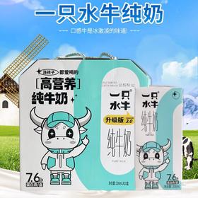 皇氏一只水牛纯牛奶 200ml*10盒/箱