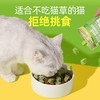 溜达猫冻干猫草粒30g/60g罐装 磨牙洁齿 助排毛球 调节肠胃 专治不爱吃猫草的猫咪 商品缩略图4