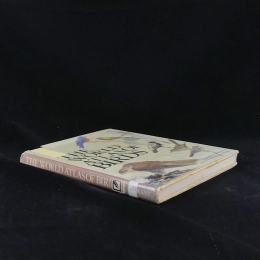 世界鸟类图集 900余幅插图（500幅彩色） 精装大16开 商品图1