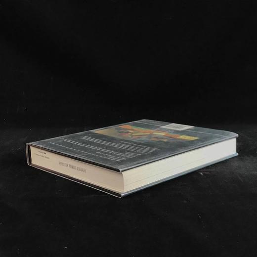 描绘一个国家：十九世纪美国艺术与社会变革 184幅插图 精装16开 商品图2