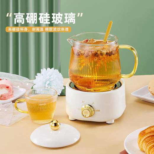 【多功能电炖杯】办公室养生壶  大容量电热杯   煮花茶烧水保温  礼盒装 商品图3