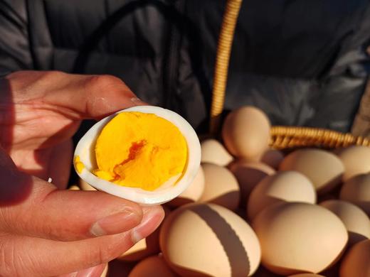 大别山散养土鸡蛋 （非饲料，蛋黄自然颜色） 京东包邮 商品图5