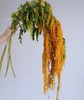 配花-柔丽丝-4-5支 商品缩略图2