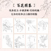 满庭芳华 工笔白描百花画谱 正统国画技法入门教程白描工笔花鸟技法白描勾线水墨画国画基础教程书临摹画册白描临摹图谱 商品缩略图2