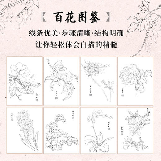 满庭芳华 工笔白描百花画谱 正统国画技法入门教程白描工笔花鸟技法白描勾线水墨画国画基础教程书临摹画册白描临摹图谱 商品图2