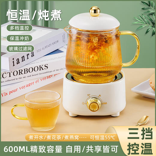 【多功能电炖杯】办公室养生壶  大容量电热杯   煮花茶烧水保温  礼盒装 商品图1