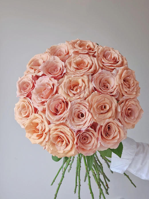 莫泊玫瑰【我想和你多见面，记忆是我们之间的古董】简小姐精选新品奶咖色玫瑰 莫泊玫瑰 2件顺丰包邮 基地直发 下单3天发货 商品图8