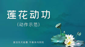 莲花动功 动作示范