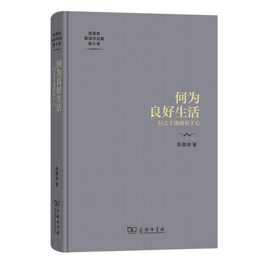 陈嘉映著译作品集 全18种套装（书目见详情页） 商品图6