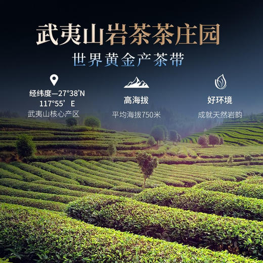 华祥苑 国缤茶小蓝罐大红袍 武夷岩茶 礼盒装 商品图7