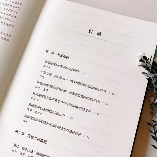 数字世界的共同愿景——全球智库论携手构建网络空间命运共同体 中国网络空间研究院 新华社研究院 中国国际问题研究院 编著 商务印书馆 商品图4