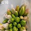 百合-重瓣-女神-10支 商品缩略图0