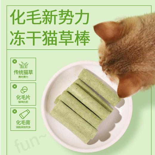 溜达猫 猫咪冻干猫草棒8支袋装 猫草+鸡肉 轻松化毛 0添加 猫咪零食批发 商品图1