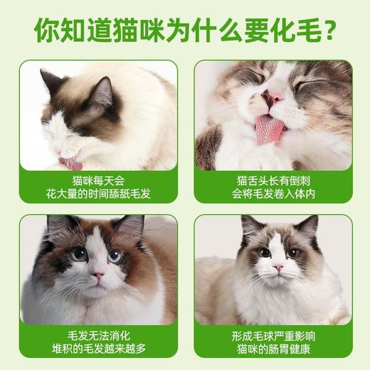 溜达猫冻干猫草粒30g/60g罐装 磨牙洁齿 助排毛球 调节肠胃 专治不爱吃猫草的猫咪 商品图1