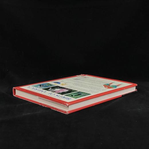 美国鸟类图解百科全书 500余幅彩色插图 精装大16开 商品图2