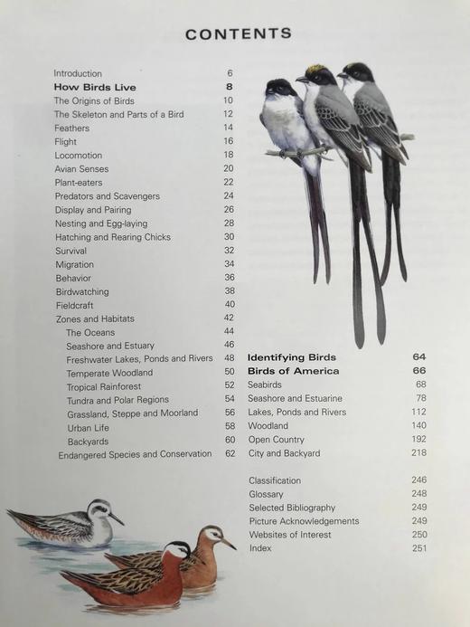 美国鸟类图解百科全书 500余幅彩色插图 精装大16开 商品图5