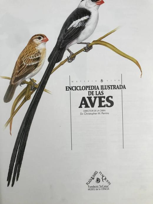 【意大利语】鸟类图解百科全书 千余幅插图 精装大16开 商品图3