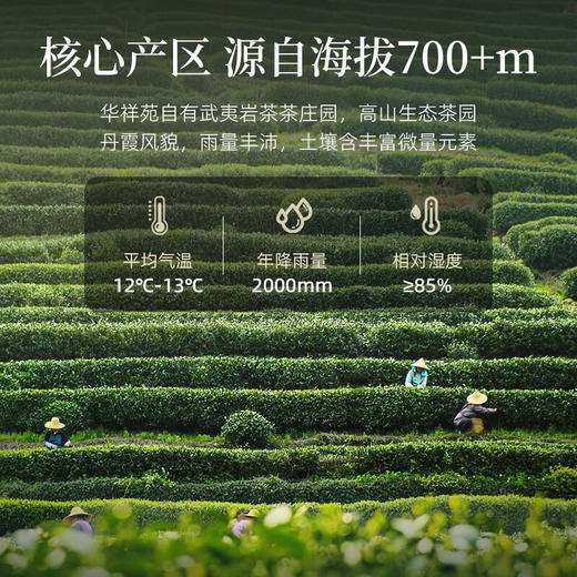 华祥苑水仙 武夷山岩茶乌龙茶迎宾茶水仙庄园茶礼盒装250g 商品图4