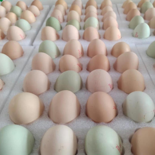 有机山鸡蛋  30枚/40枚/箱 商品图7