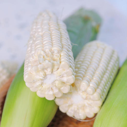 云南珍珠白.甜糯玉米（296项农残0检出） 商品图9