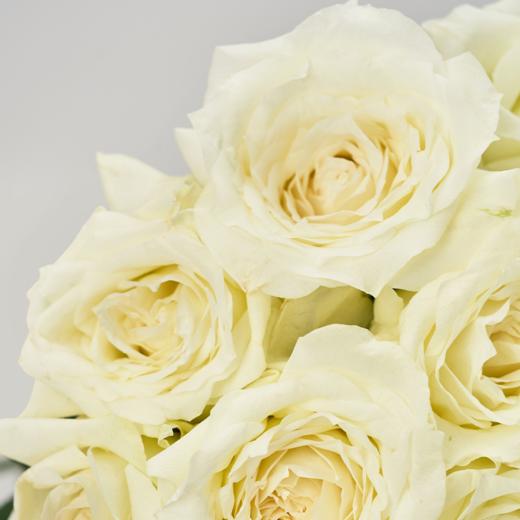 夏日海盐 Summer Sea Salt 商品图1