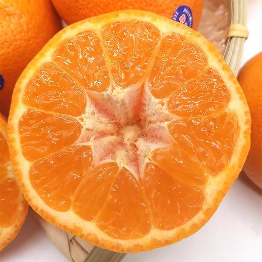 澳洲柑桔 约500g/份（口口爆汁 超满足） 商品图1