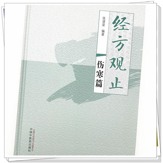 经方观止：伤寒篇  张建荣 编著 中国中医药出版社 中医临床 书籍 商品图3