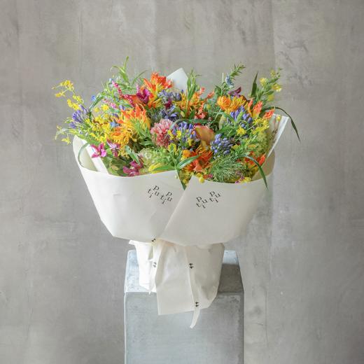 夏日相册 Summer Album 商品图0