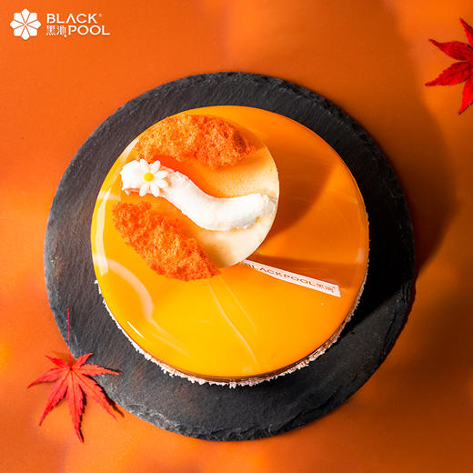 【风之岛】香草杏桃莓果慕斯 商品图3