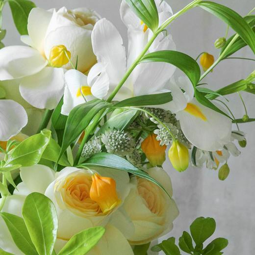 和光煦境 Green Fairyland 商品图1