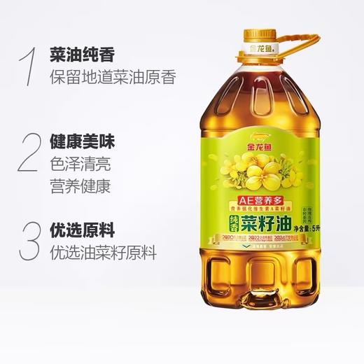 金龙鱼非转基因菜籽油【5L】 商品图2