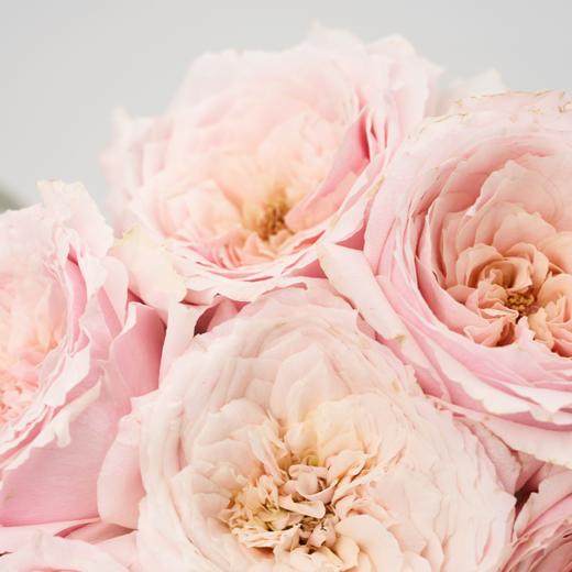 浪漫南法 Southern France 商品图1