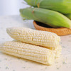 云南珍珠白.甜糯玉米（296项农残0检出） 商品缩略图7