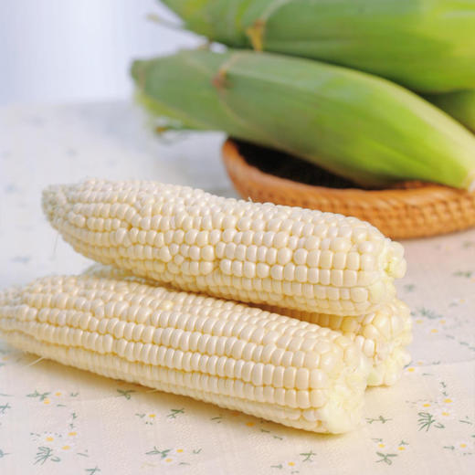 云南珍珠白.甜糯玉米（296项农残0检出） 商品图7