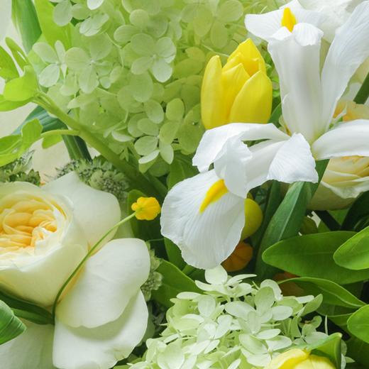 和光煦境 Green Fairyland 商品图2