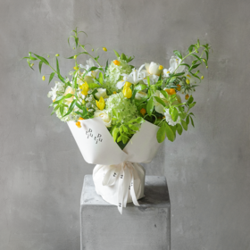 和光煦境 Green Fairyland