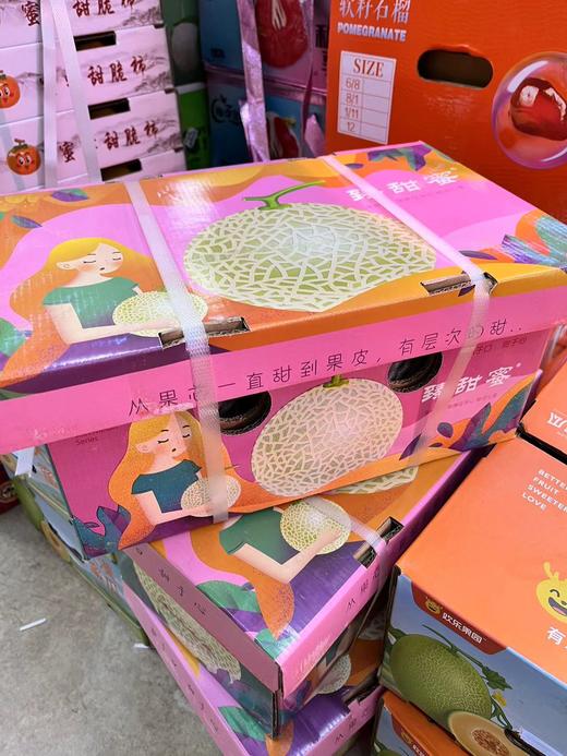臻甜蜜网纹蜜瓜一箱 商品图1