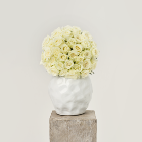 夏日海盐 Summer Sea Salt