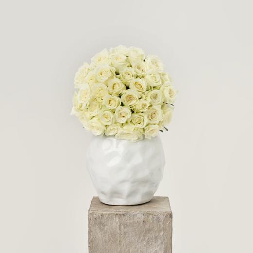 夏日海盐 Summer Sea Salt 商品图0