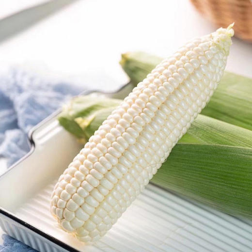 云南珍珠白.甜糯玉米（296项农残0检出） 商品图12