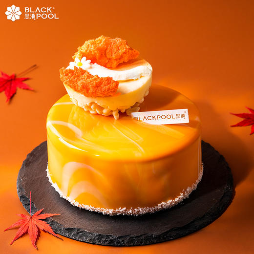 【风之岛】香草杏桃莓果慕斯 商品图1