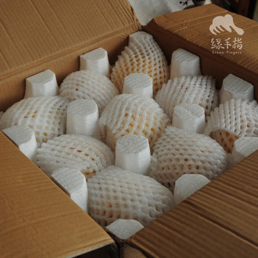 有机黄桃 | 合作生产 *Organic Yellow Peach | Coproduction 商品图5