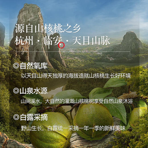 【包邮到家｜姚生记临安核桃仁】218g/袋，两种口味可以选择，内约14小袋。 如风生活特惠 商品图2