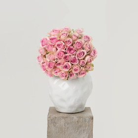 温柔庄园 Gentle Manor