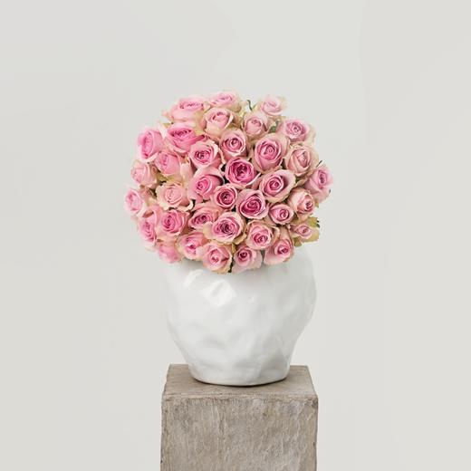 温柔庄园 Gentle Manor 商品图0