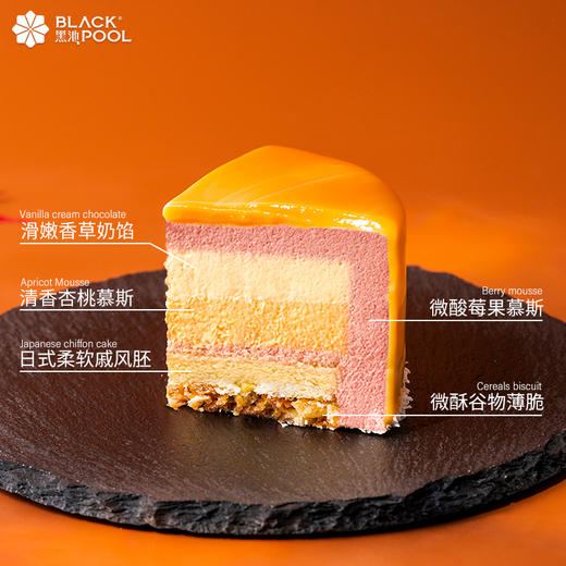 【风之岛】香草杏桃莓果慕斯 商品图5